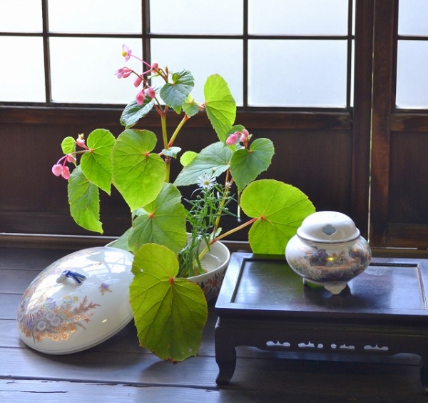 【染錦芙蓉淡彩菊】香炉2